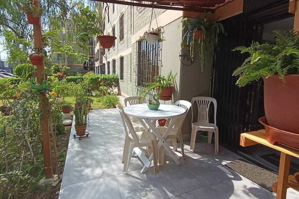 Apartamento Mini Vista Lima